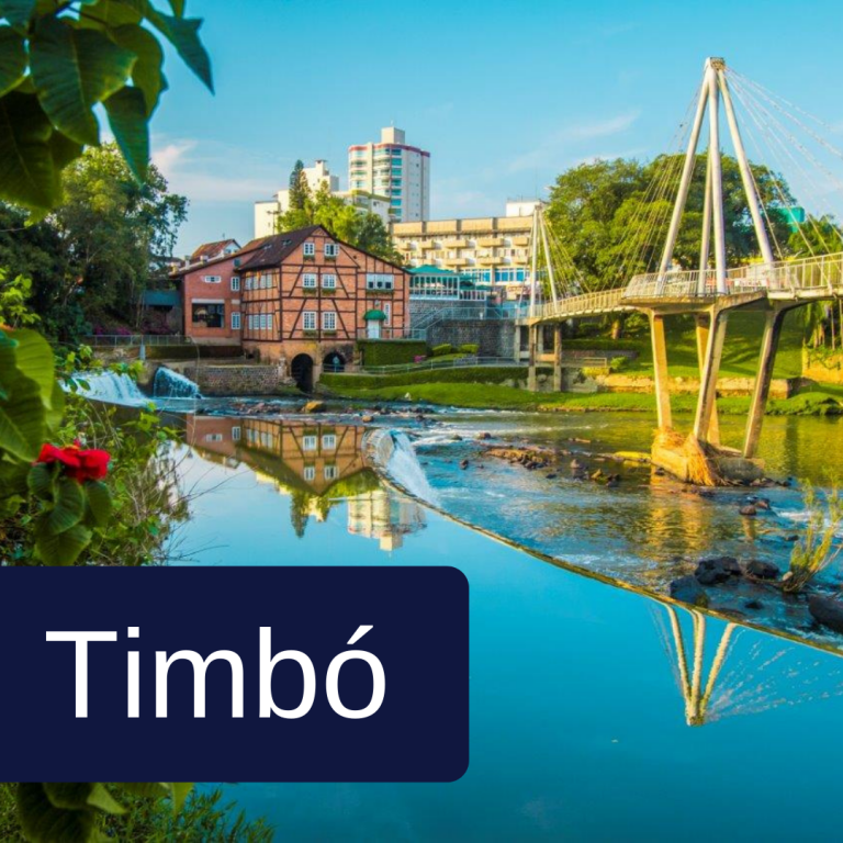 cidades de atuação advogados dognini e holtrup (6)